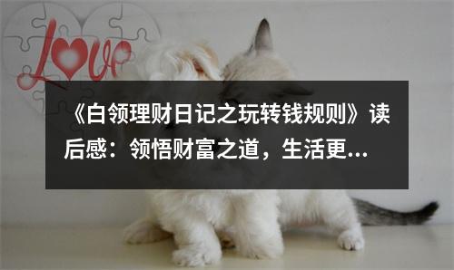 《白領理財日記之玩轉錢規(guī)則》讀后感：領悟財富之道，生活更美好 (850字)