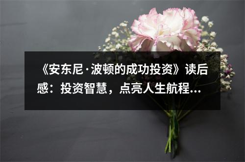 《安東尼·波頓的成功投資》讀后感：投資智慧，點亮人生航程 (750字)