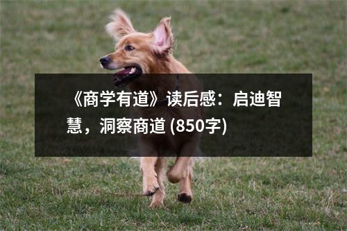 《商學(xué)有道》讀后感：?jiǎn)⒌现腔?，洞察商?(850字)