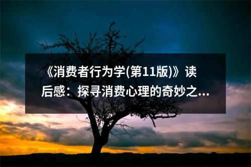 《消費(fèi)者行為學(xué)(第11版)》讀后感：探尋消費(fèi)心理的奇妙之旅 (1100字)