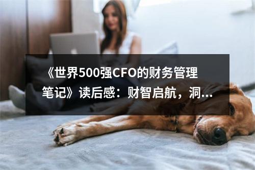 《世界500強(qiáng)CFO的財(cái)務(wù)管理筆記》讀后感：財(cái)智啟航，洞察未來(lái) (950字)
