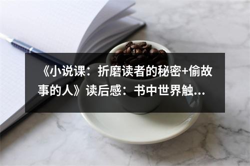 《小說(shuō)課：折磨讀者的秘密+偷故事的人》讀后感：書(shū)中世界觸心靈 (900字)