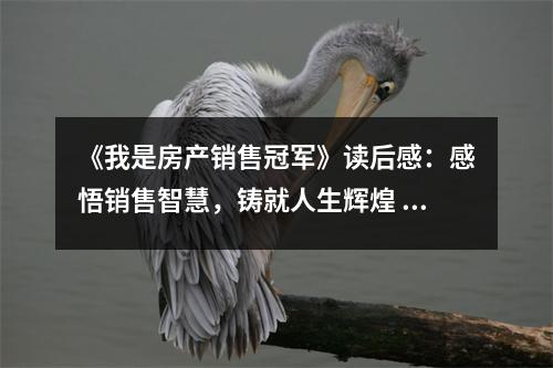 《我是房產(chǎn)銷售冠軍》讀后感：感悟銷售智慧，鑄就人生輝煌 (850字)
