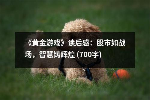 《黃金游戲》讀后感：股市如戰(zhàn)場，智慧鑄輝煌 (700字)