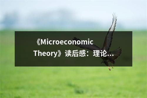 《Microeconomic Theory》讀后感：理論世界里的智慧火花 (1200字)