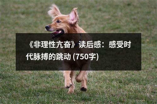 《非理性亢奮》讀后感：感受時代脈搏的跳動 (750字)