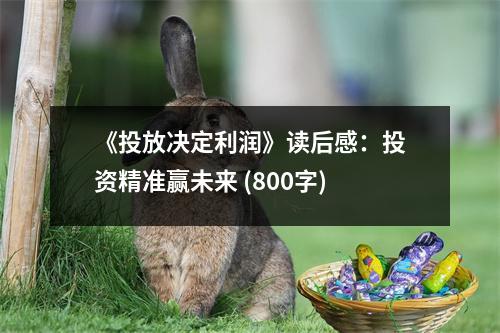 《投放決定利潤(rùn)》讀后感：投資精準(zhǔn)贏未來(lái) (800字)