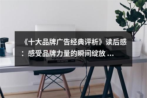 《十大品牌廣告經(jīng)典評析》讀后感：感受品牌力量的瞬間綻放 (850字)