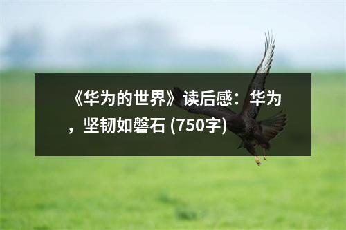 《華為的世界》讀后感：華為，堅(jiān)韌如磐石 (750字)
