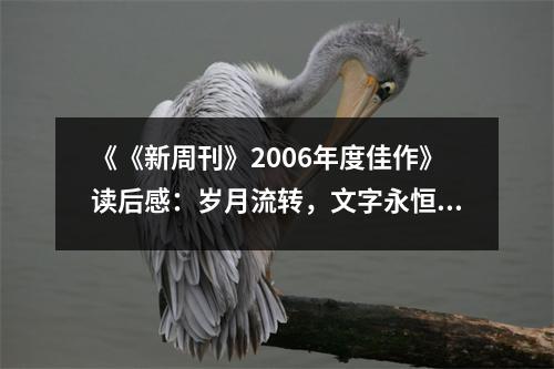 《《新周刊》2006年度佳作》讀后感：歲月流轉(zhuǎn)，文字永恒 (700字)