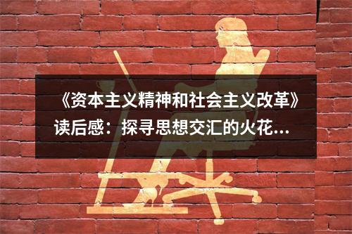 《資本主義精神和社會主義改革》讀后感：探尋思想交匯的火花 (900字)
