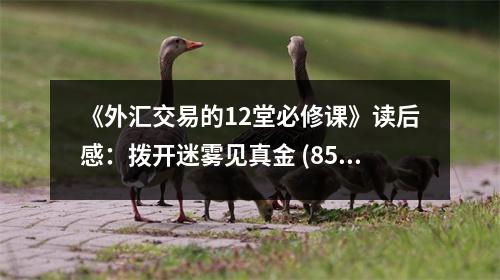 《外匯交易的12堂必修課》讀后感：撥開(kāi)迷霧見(jiàn)真金 (850字)