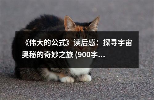 《偉大的公式》讀后感：探尋宇宙奧秘的奇妙之旅 (900字)