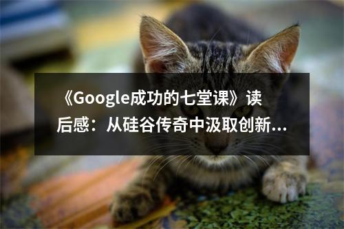 《Google成功的七堂課》讀后感：從硅谷傳奇中汲取創(chuàng)新力量 (850字)