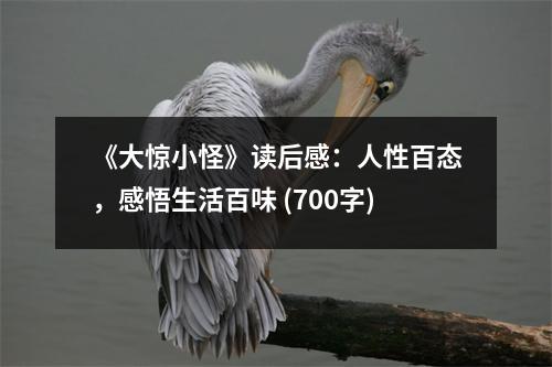 《大驚小怪》讀后感：人性百態(tài)，感悟生活百味 (700字)