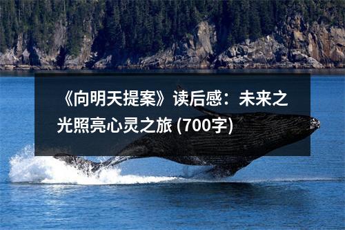 《向明天提案》讀后感：未來(lái)之光照亮心靈之旅 (700字)