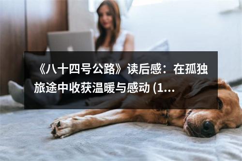 《八十四號(hào)公路》讀后感：在孤獨(dú)旅途中收獲溫暖與感動(dòng) (1000字)