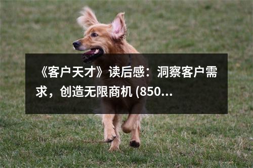 《客戶天才》讀后感：洞察客戶需求，創(chuàng)造無限商機(jī) (850字)