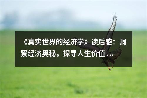 《真實世界的經(jīng)濟(jì)學(xué)》讀后感：洞察經(jīng)濟(jì)奧秘，探尋人生價值 (950字)