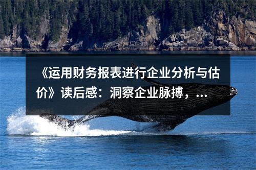 《運用財務(wù)報表進行企業(yè)分析與估價》讀后感：洞察企業(yè)脈搏，探尋價值寶藏 (850字)