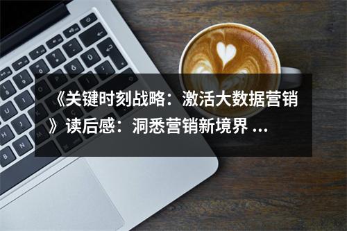 《關鍵時刻戰(zhàn)略：激活大數(shù)據營銷》讀后感：洞悉營銷新境界 (850字)