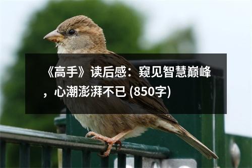《高手》讀后感：窺見智慧巔峰，心潮澎湃不已 (850字)