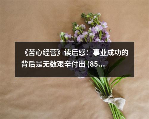 《苦心經(jīng)營》讀后感：事業(yè)成功的背后是無數(shù)艱辛付出 (850字)