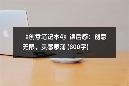 《創(chuàng)意筆記本4》讀后感：創(chuàng)意無限，靈感泉涌 (800字)