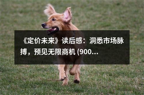 《定價(jià)未來》讀后感：洞悉市場脈搏，預(yù)見無限商機(jī) (900字)