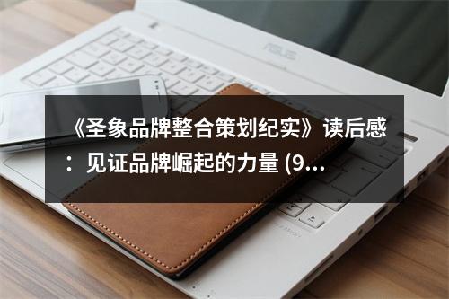 《圣象品牌整合策劃紀(jì)實(shí)》讀后感：見證品牌崛起的力量 (950字)