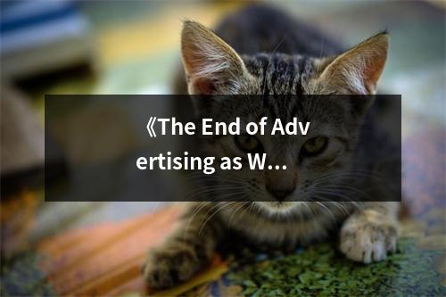 《The End of Advertising as We Know It》讀后感：廣告之終，時(shí)代之始 (900字)
