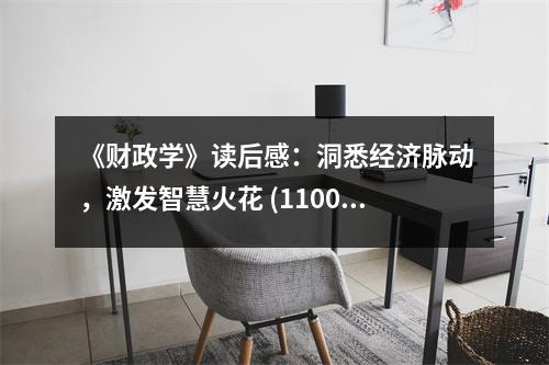 《財(cái)政學(xué)》讀后感：洞悉經(jīng)濟(jì)脈動(dòng)，激發(fā)智慧火花 (1100字)