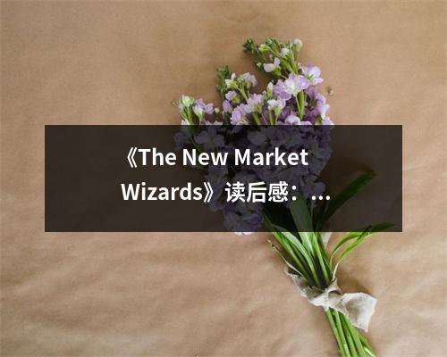 《The New Market Wizards》讀后感：在市場海洋中勇敢揚(yáng)帆 (900字)