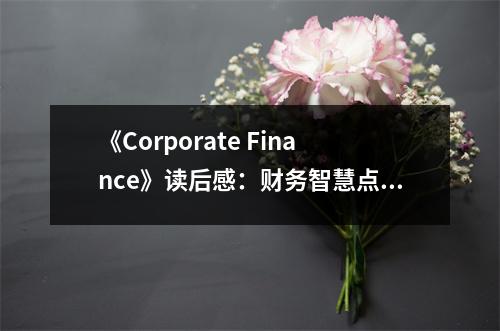 《Corporate Finance》讀后感：財(cái)務(wù)智慧點(diǎn)亮企業(yè)未來(lái) (800字)