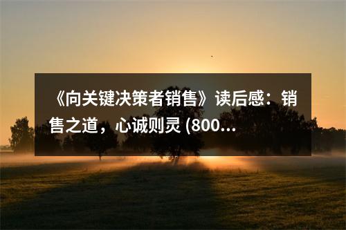 《向關鍵決策者銷售》讀后感：銷售之道，心誠則靈 (800字)
