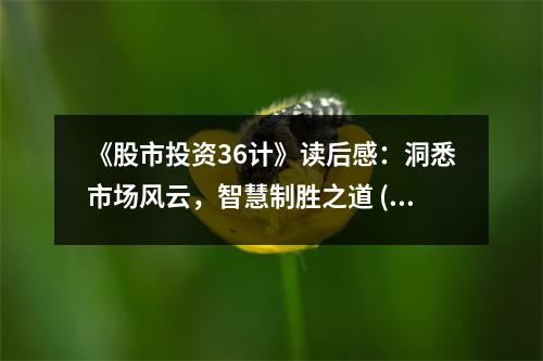 《股市投資36計(jì)》讀后感：洞悉市場(chǎng)風(fēng)云，智慧制勝之道 (900字)