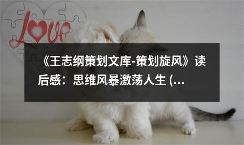 《王志綱策劃文庫-策劃旋風》讀后感：思維風暴激蕩人生 (1000字)
