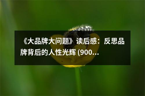 《大品牌大問題》讀后感：反思品牌背后的人性光輝 (900字)