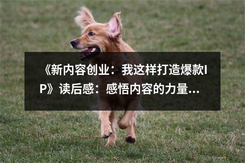 《新內(nèi)容創(chuàng)業(yè)：我這樣打造爆款I(lǐng)P》讀后感：感悟內(nèi)容的力量，點燃夢想之火 (700字)