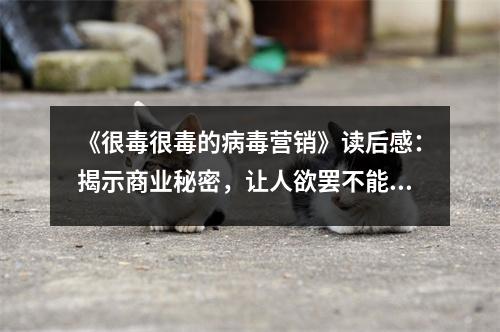 《很毒很毒的病毒營銷》讀后感：揭示商業(yè)秘密，讓人欲罷不能 (850字)