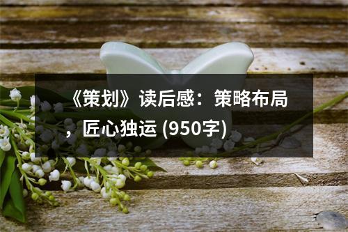 《策劃》讀后感：策略布局，匠心獨運 (950字)