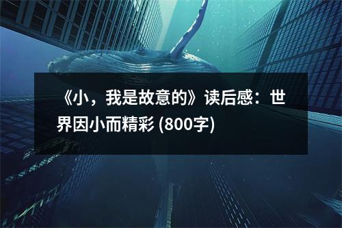 《小，我是故意的》讀后感：世界因小而精彩 (800字)