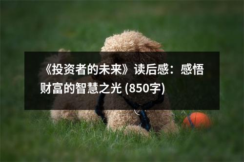 《投資者的未來(lái)》讀后感：感悟財(cái)富的智慧之光 (850字)