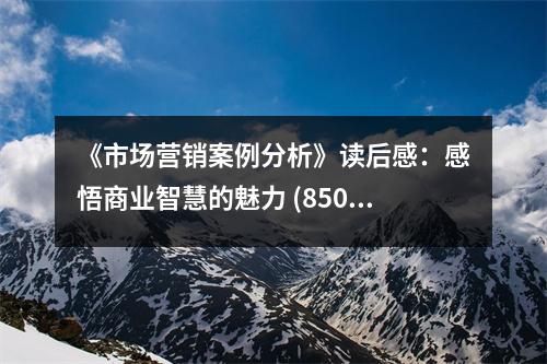 《市場(chǎng)營(yíng)銷(xiāo)案例分析》讀后感：感悟商業(yè)智慧的魅力 (850字)