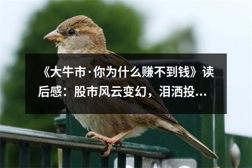《大牛市·你為什么賺不到錢(qián)》讀后感：股市風(fēng)云變幻，淚灑投資路 (800字)