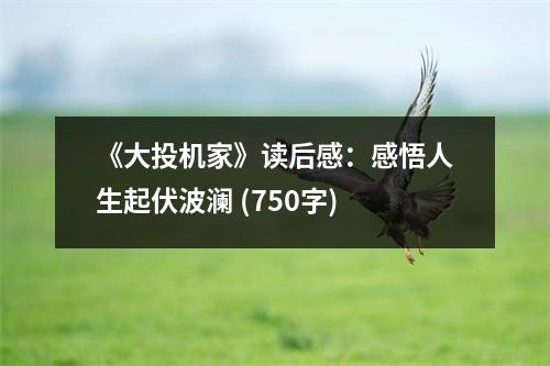 《大投機家》讀后感：感悟人生起伏波瀾 (750字)