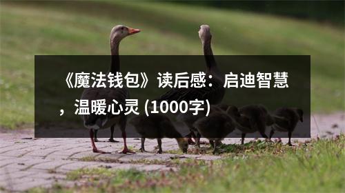 《魔法錢包》讀后感：啟迪智慧，溫暖心靈 (1000字)