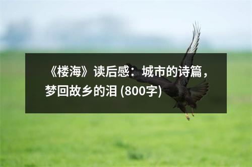 《樓海》讀后感：城市的詩(shī)篇，夢(mèng)回故鄉(xiāng)的淚 (800字)
