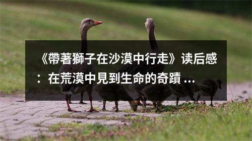 《帶著獅子在沙漠中行走》讀后感：在荒漠中見到生命的奇蹟 (850字)