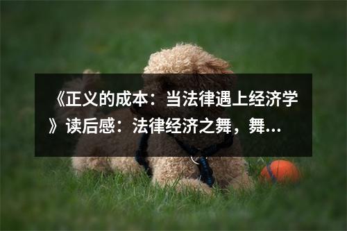 《正義的成本：當法律遇上經(jīng)濟學》讀后感：法律經(jīng)濟之舞，舞出正義之光 (950字)
